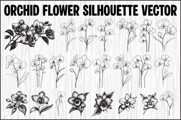 Download Orchid Flower Silhouette Vector Bundle - Silhouette Collection