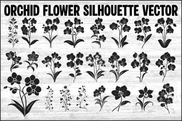 Download Orchid Flower Silhouette Vector Bundle - Silhouette Collection