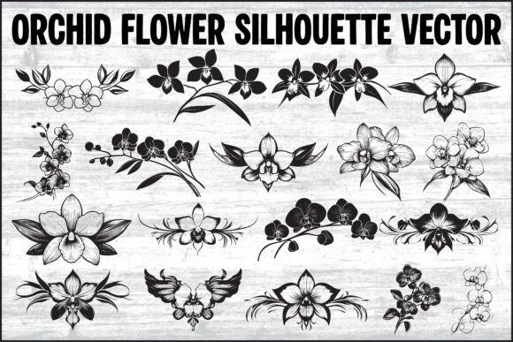 Download Orchid Flower Silhouette Vector Bundle - Silhouette Collection