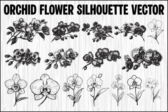 Download Orchid Flower Silhouette Vector Bundle - Silhouette Collection