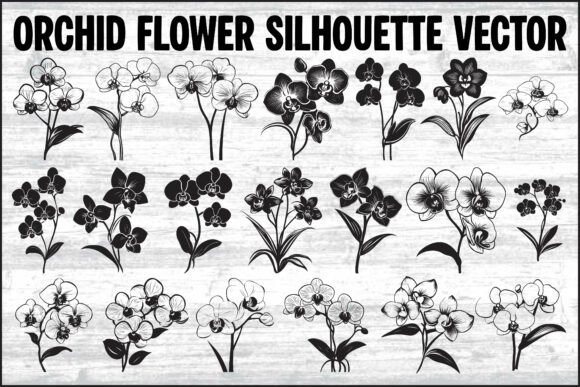Download Orchid Flower Silhouette Vector Bundle - Silhouette Collection